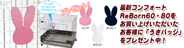 コンフォート プレゼント