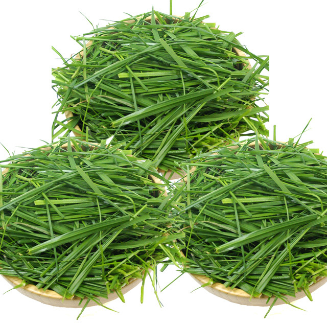 究極の牧草 サラダイタリアン 100g 3個