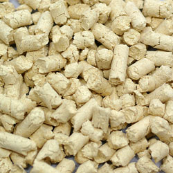 Top Breeder�ξý���