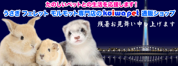 うさぎ・フェレット・モルモット専門店 小岩ペット