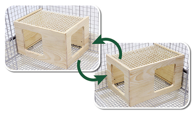 ルーフメッシュハウス