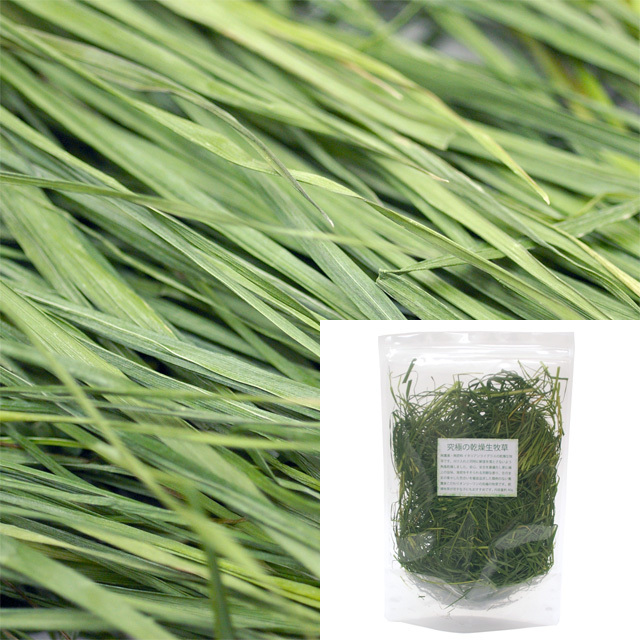 【無料プレゼント】究極の乾燥生牧草 お試し品