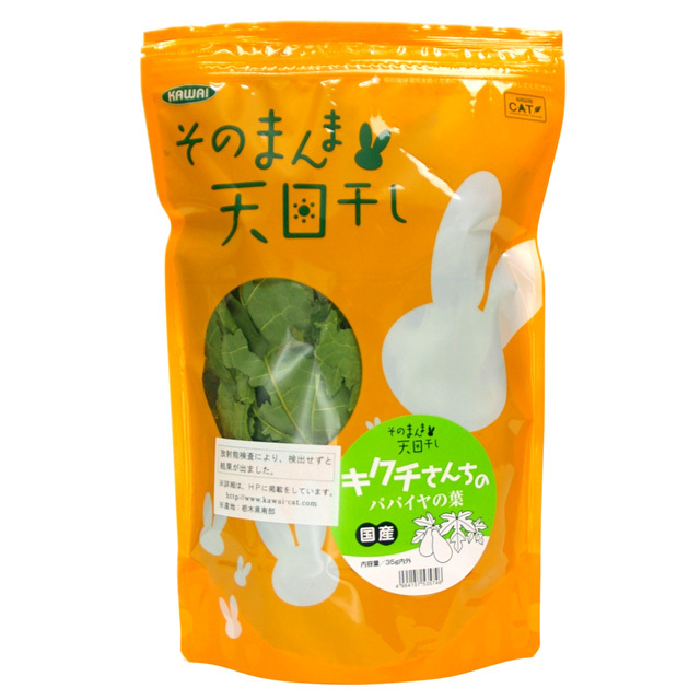 そのまんま天日干し キクチさんちのパパイヤの葉