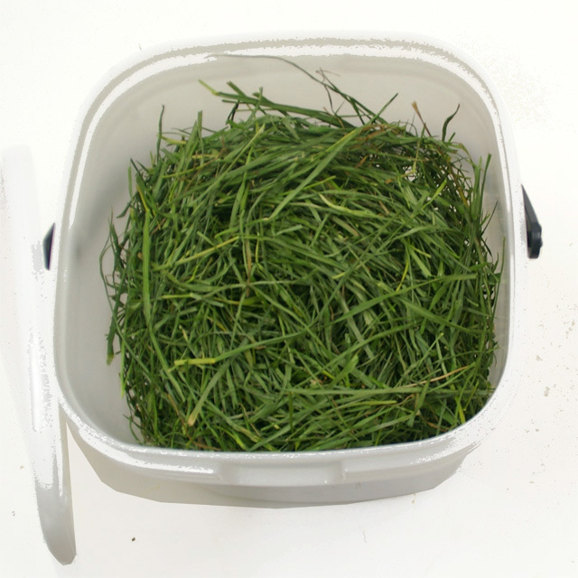 究極の乾燥牧草 イタリアンライグラス 120g (フードパッカー付き)