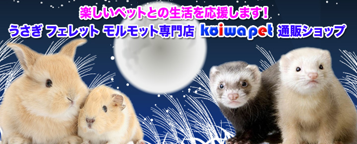 うさぎ・フェレット・モルモット専門店 小岩ペット通販ショップ