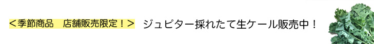 ケール＿おしらせ