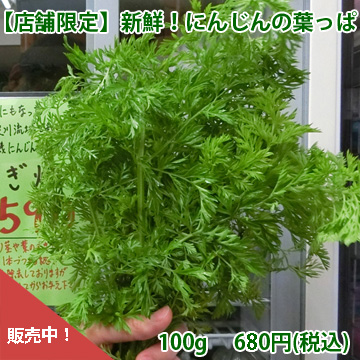 にんじんの葉販売中