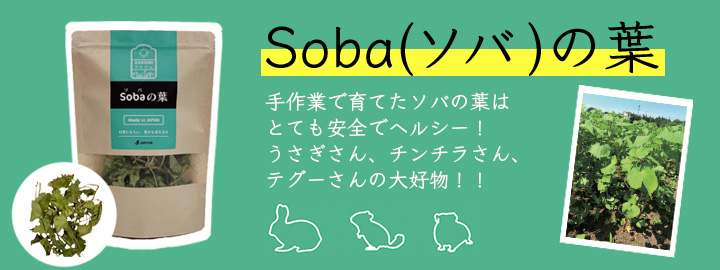 ソバの葉