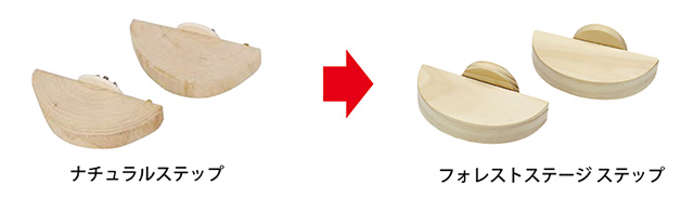 フォレストステージ　ステップ
