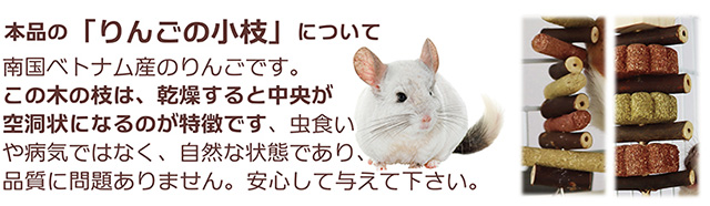チモシートイ　ハンガー